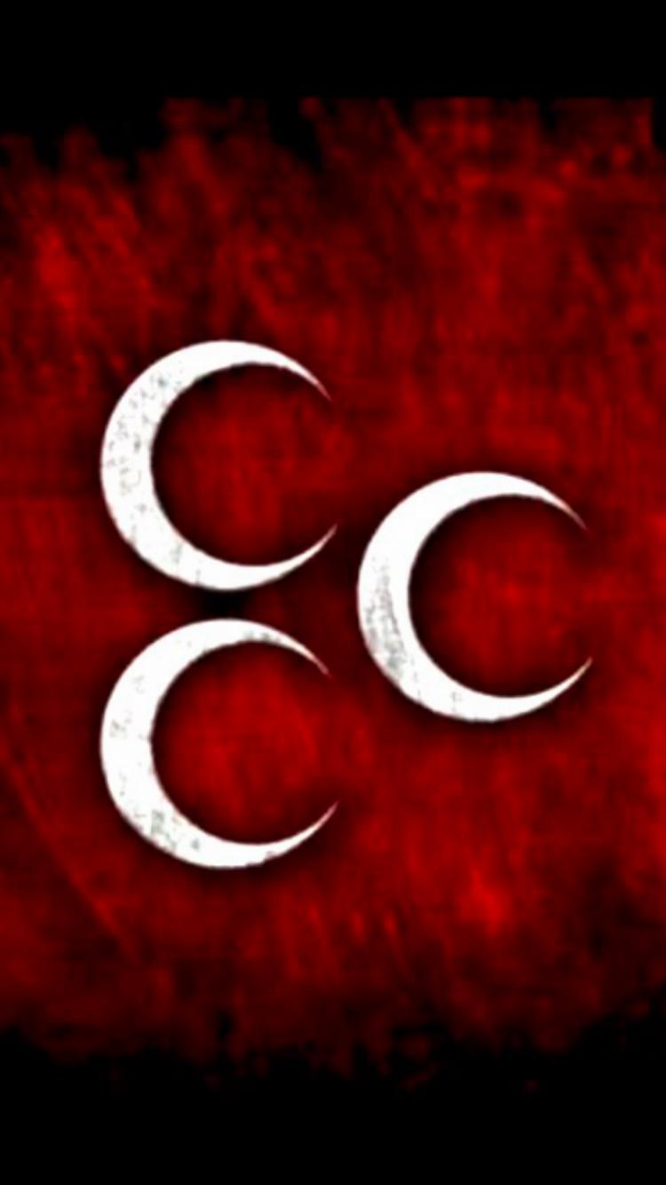 Hayrettin Haluk Akkoyunlu